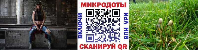 ОМГ ОМГ   Холмск  Галлюциногенные грибы Psilocybe 