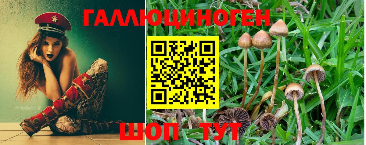Галлюциногенные грибы Magic Shrooms Холмск