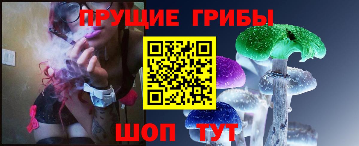 Холмск  Псилоцибиновые грибы мицелий  Вход с VPN  Псилоцибиновые грибы мухоморы 