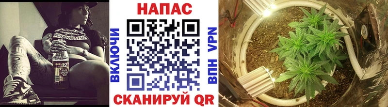 Бошки марихуана OG Kush даркнет сайт Холмск